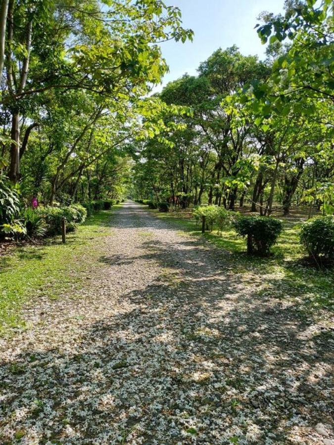 花蓮金澤居民宿樹窩民宿御安居民宿寵物友善 Джиан Екстериор снимка